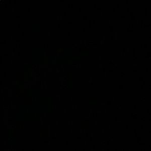 Meet your Posher, Billy